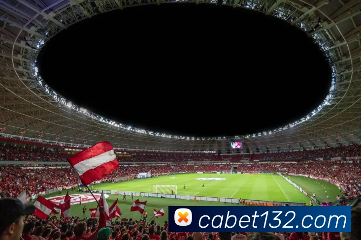 登录器